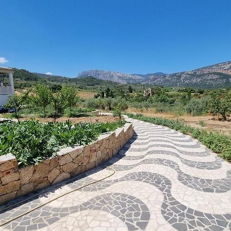 Villa Biriculi Dorgali Esterno foto
