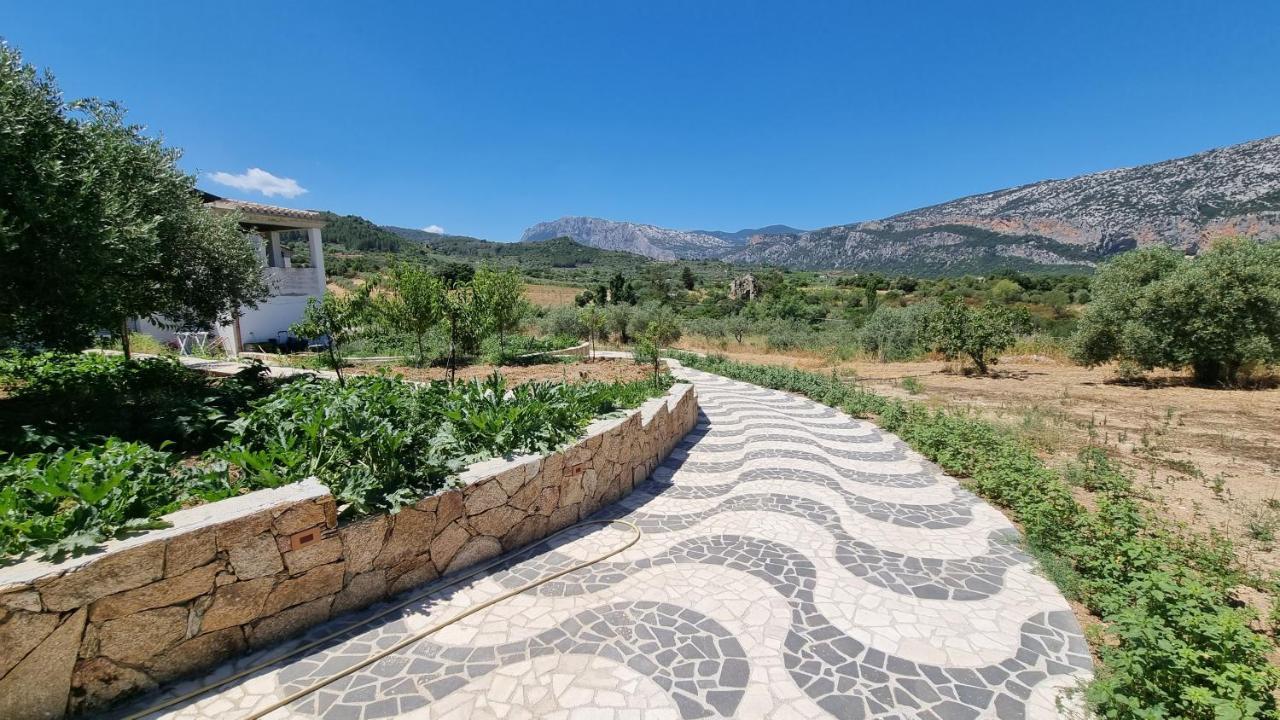Villa Biriculi Dorgali Esterno foto