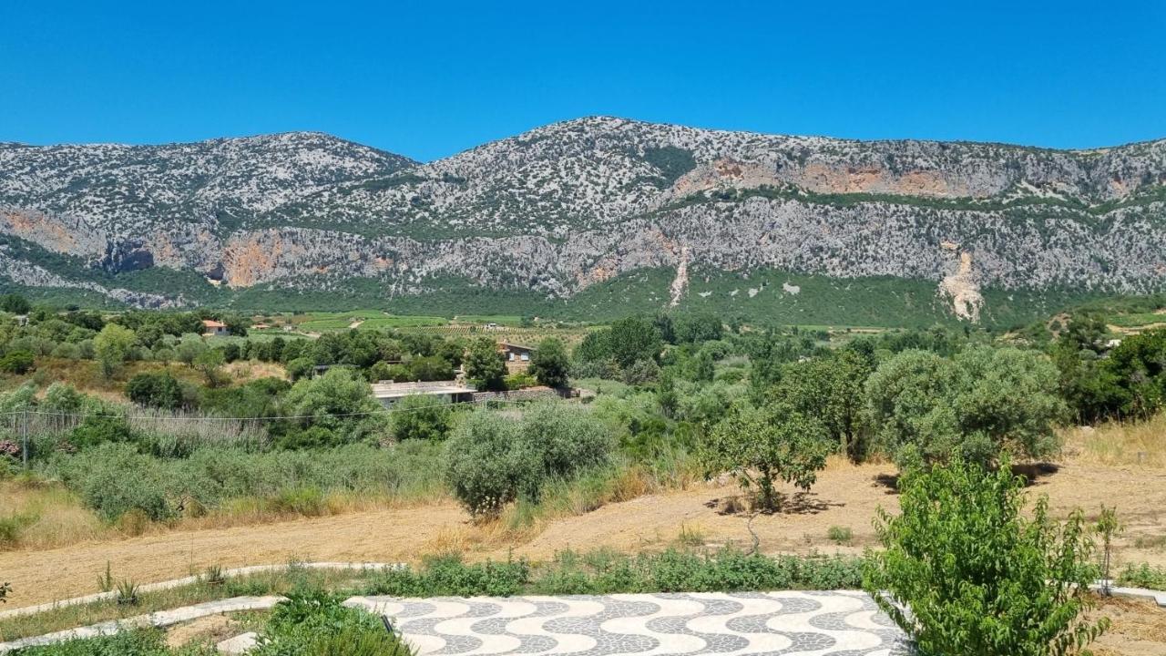 Villa Biriculi Dorgali Esterno foto