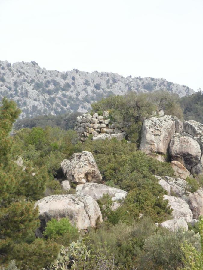 Villa Biriculi Dorgali Esterno foto
